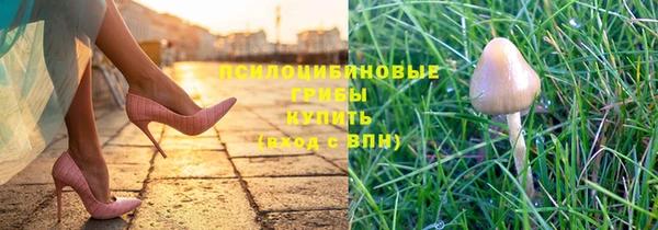 кокаин Богданович