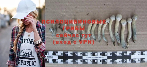 прущий лед Богородицк