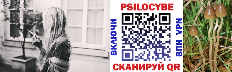 Галлюциногенные грибы GOLDEN TEACHER  даркнет сайт  Дмитров 